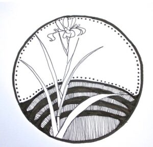 Drawing of a flower